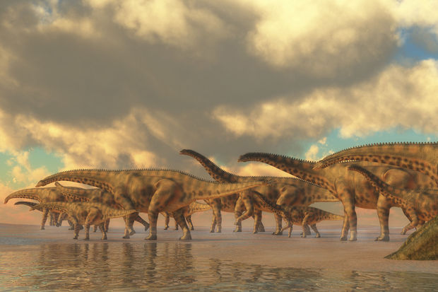 L'arbre généalogique des dinosaures  remis en cause