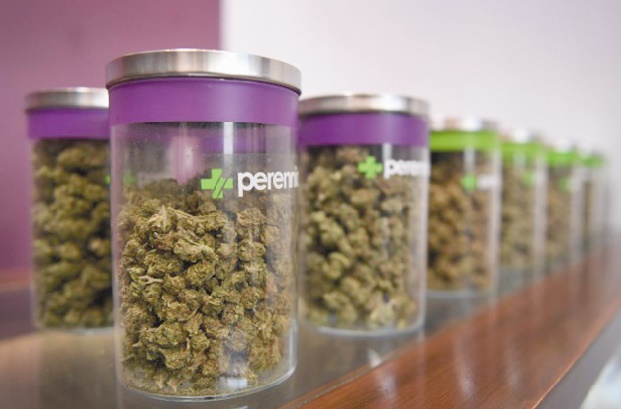 Le marché du cannabis aux USA en pleine croissance malgré l'incertitude Trump
