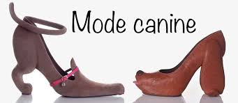 Insolite : Mode canine