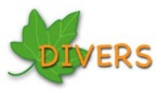Divers Divers