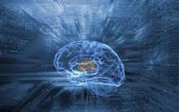 Le cerveau des super-seniors reste plus jeune