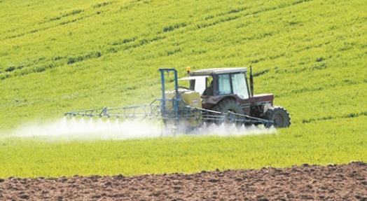 Bonnes perspectives pour la campagne agricole dans l’Oriental