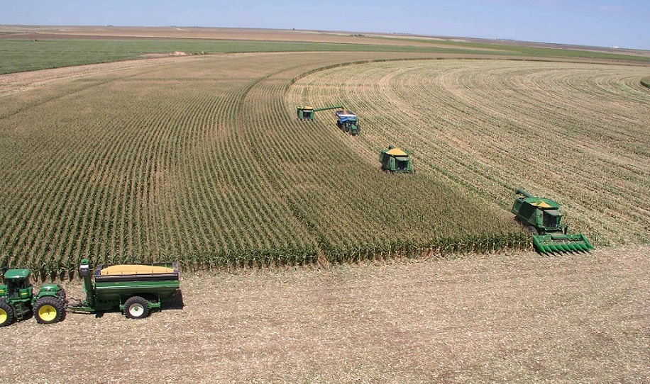 La reprise de l’activité agricole dope l’économie nationale