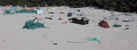 Une île du Pacifique a la plus forte densité de débris plastiques
