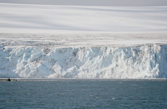 L'Antarctique verdit rapidement sous l'effet du changement climatique