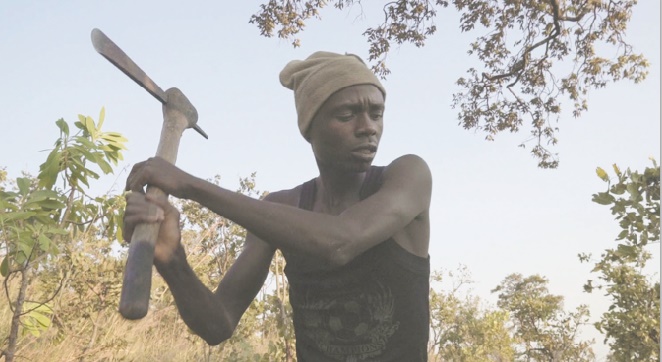 “Makala”, Grand prix de la Semaine de la critique à Cannes