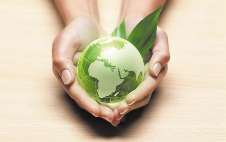 Célébration de la Journée mondiale de l'environnement dans un contexte difficile Célébration de la Journée mondiale de l'environnement dans un contexte difficile