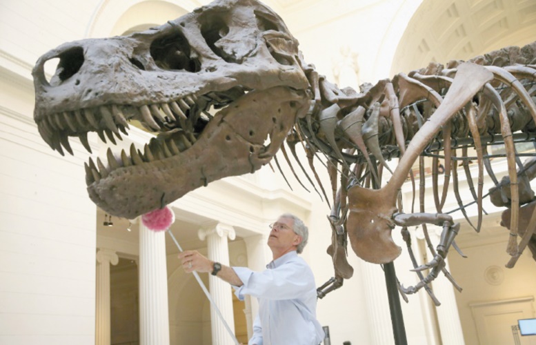 Le T.Rex n'était pas un dinosaure à plumes