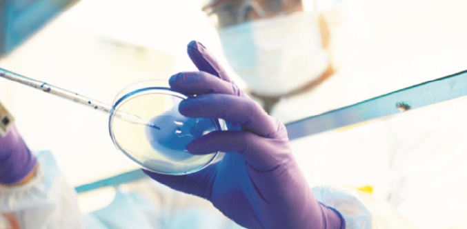 Les cellules reprogrammées iPS utiles pour toutes les maladies