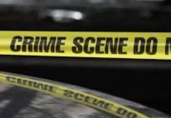 Insolite : Cadavre dans le congélateur