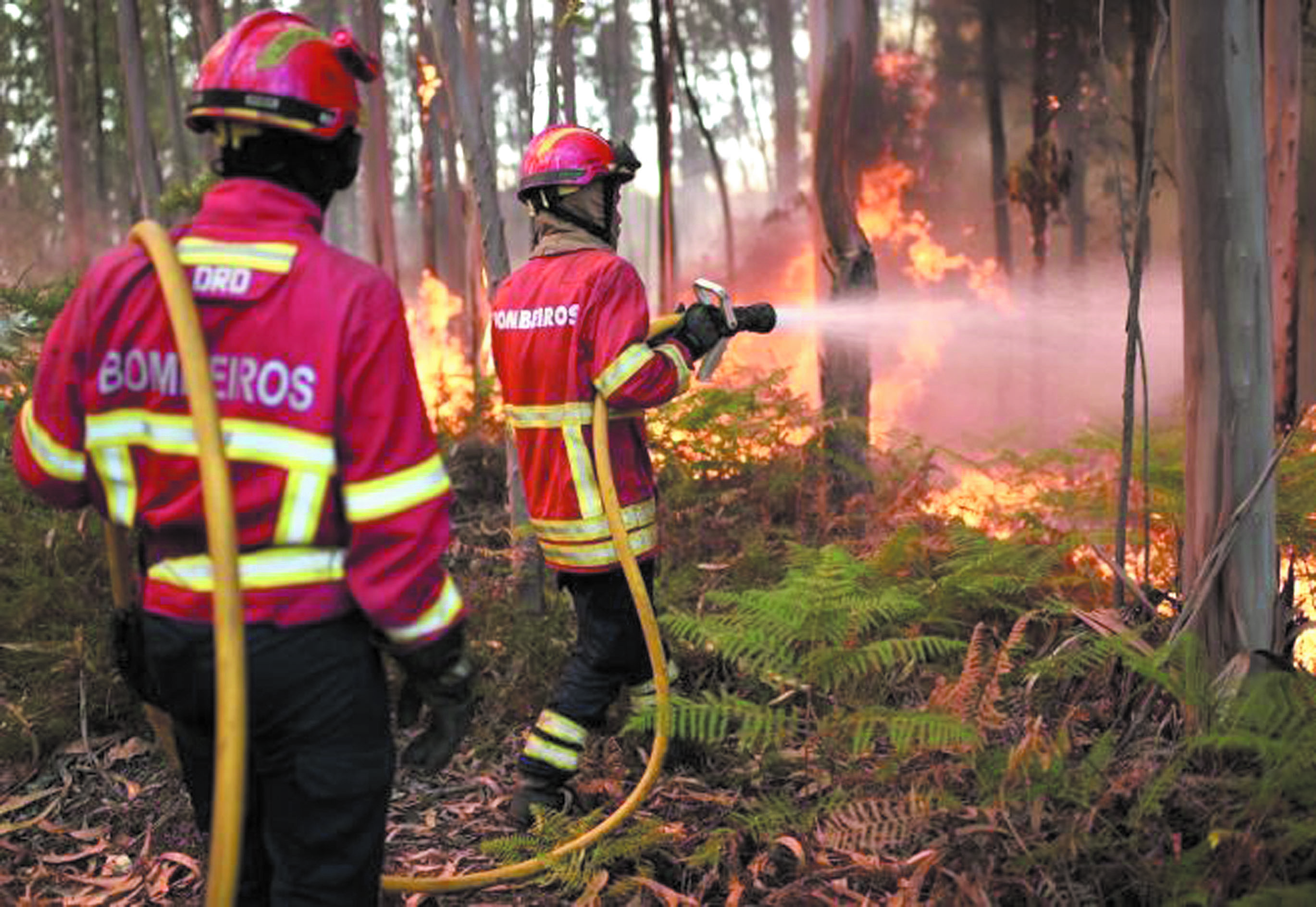 Un gigantesque incendie de forêt au Portugal