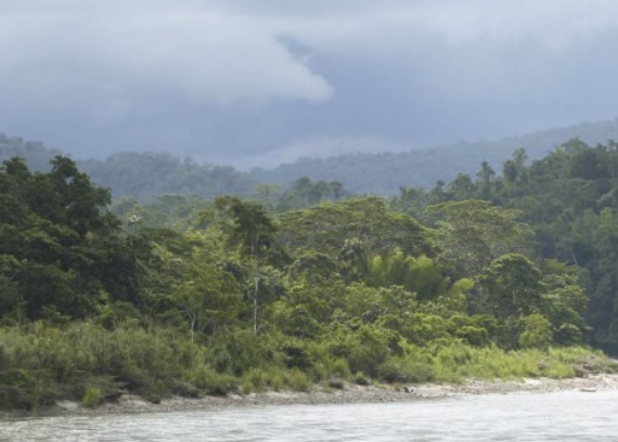 Les projets de barrages sur l'Amazone dévasteraient l'environnement