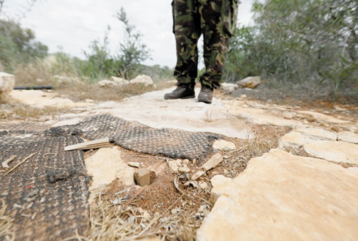 A Chypre, le braconnage "industriel" des oiseaux migrateurs