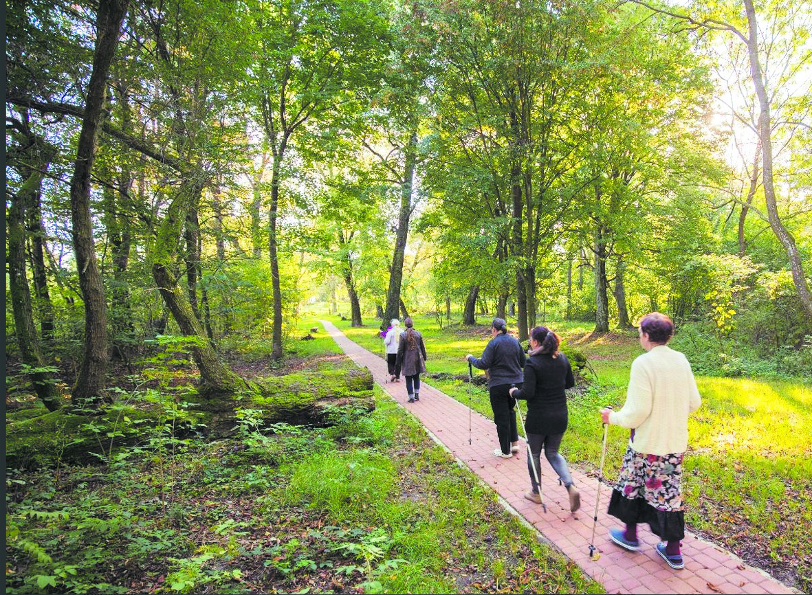 Un jardin suisse pour soigner des troubles psychiques en Pologne