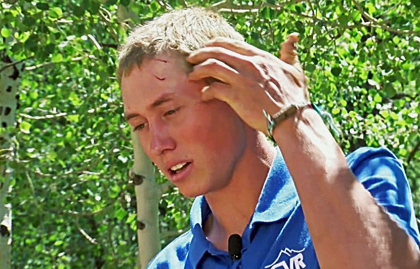 Insolite : La tête dans la gueule d'un ours Insolite : La tête dans la gueule d'un ours