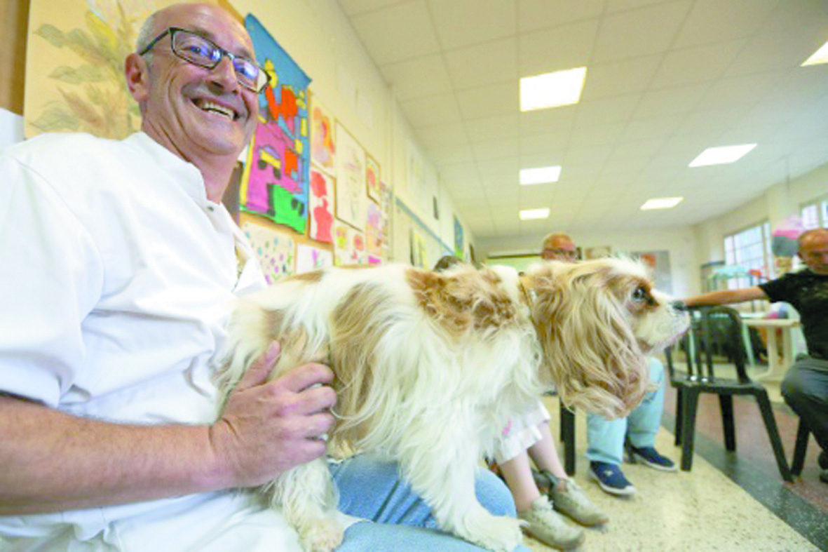 Des chiens pour soigner des malades mentaux