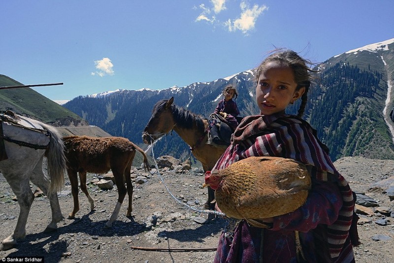 Le rêve brisé des nomades aux portes d'Oulan-Bator