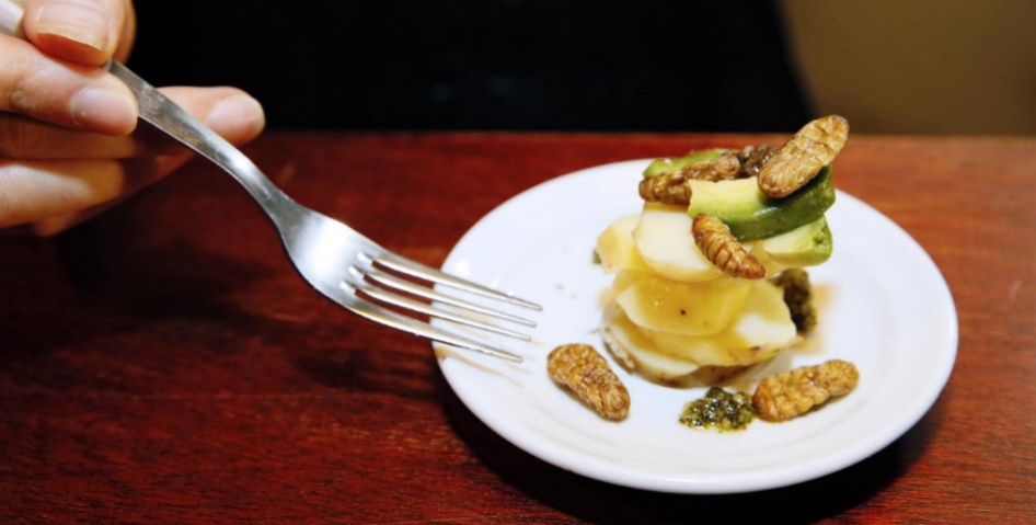 En Thaïlande, la gastronomie pour rendre les insectes à la mode