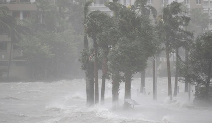Insolite : "Ne tirez pas sur Irma"