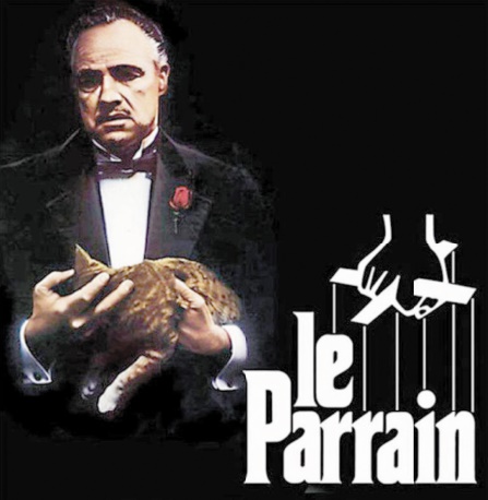 Les meilleurs films de tous les temps