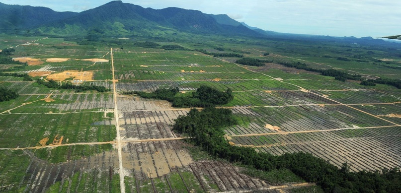 Les Tropiques émettent plus de CO2 qu'ils n'en capturent Les Tropiques émettent plus de CO2 qu'ils n'en capturent