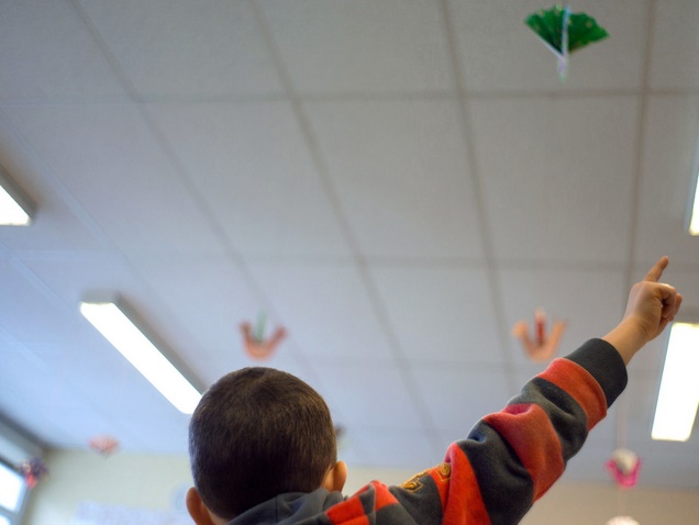 Le comportement des petits garçons affecté par les perturbateurs endocriniens