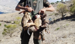 De plus en plus de chasseurs au Maroc De plus en plus de chasseurs au Maroc