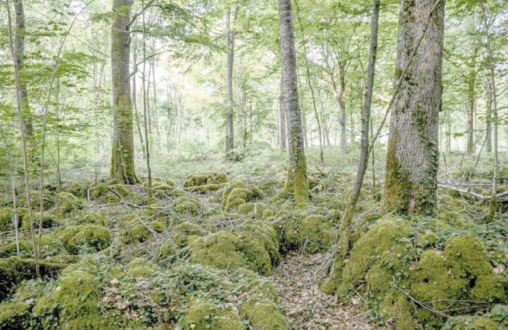 La gestion des sols peut fortement réduire le CO2 La gestion des sols peut fortement réduire le CO2