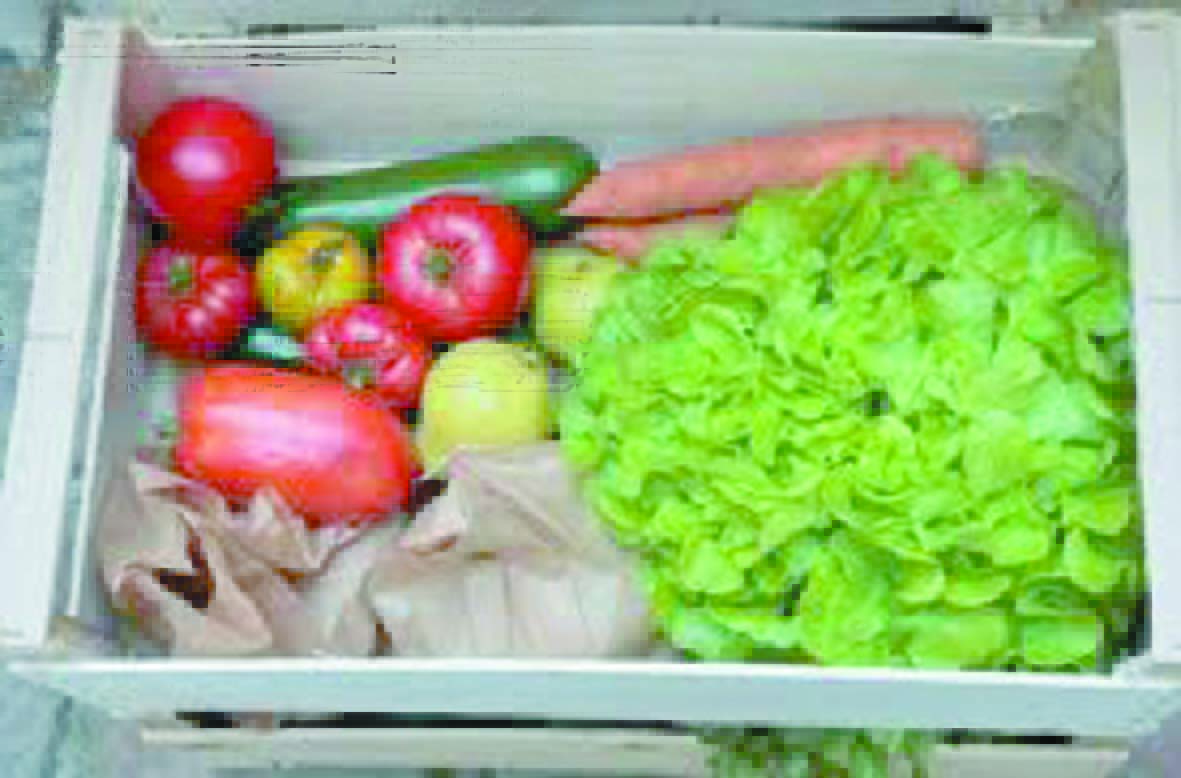 Impossible de passer à une agriculture 100% bio sans changements majeurs