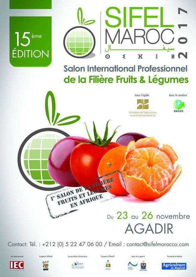 La région de Souss-Massa exporte au niveau national plus de 86% de primeurs et plus de 96% de tomates