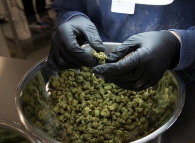 Insolite : Calendrier de l'avent au cannabis