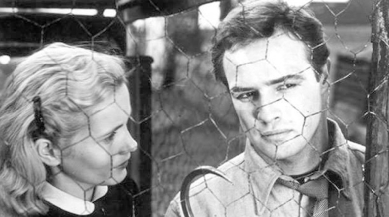 Les meilleurs films de tous les temps
