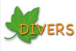 Divers