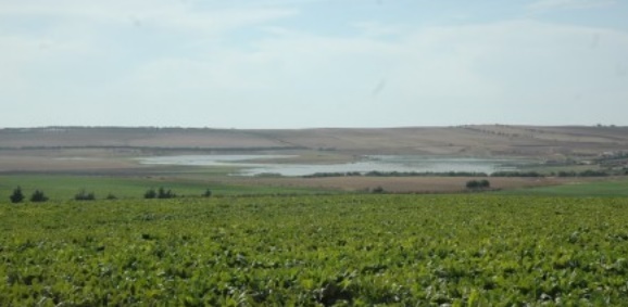 Le projet d'irrigation de la zone Chtouka en eau de mer dessalée sur la bonne voie