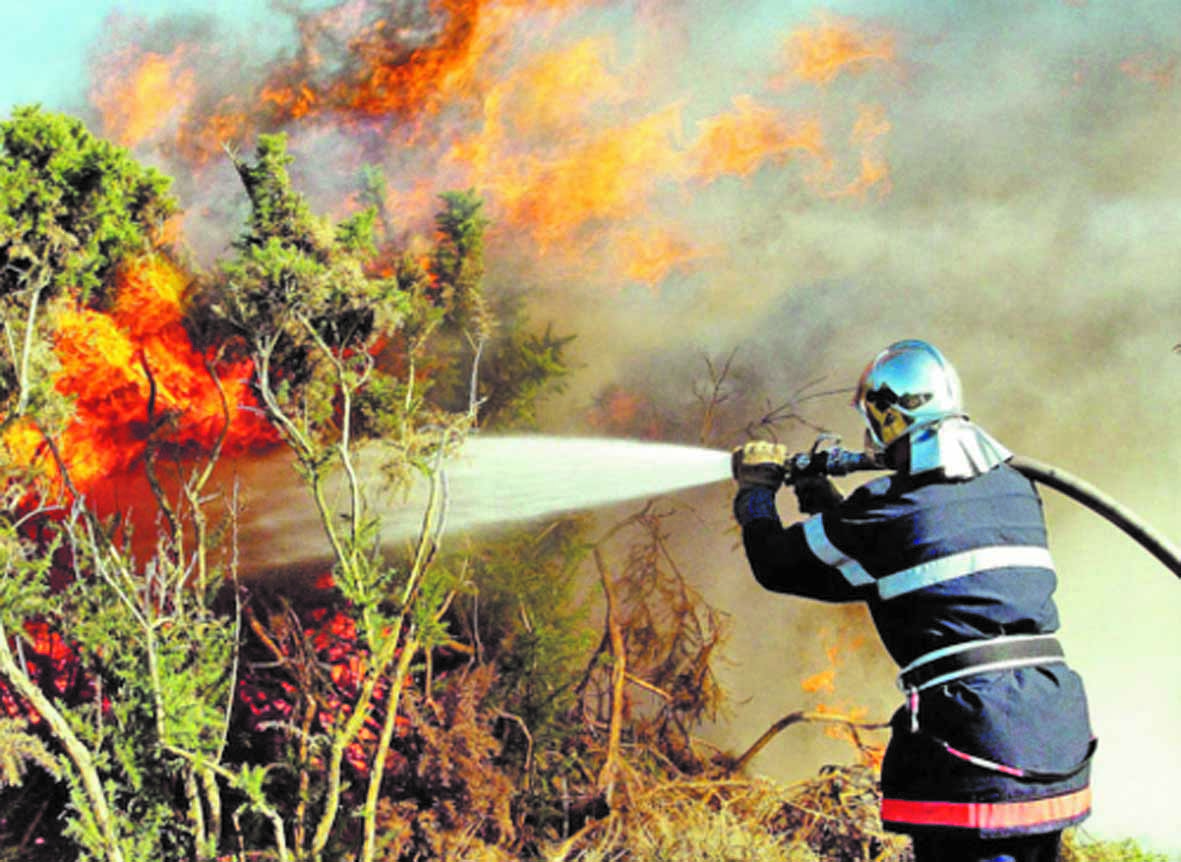 Quand les incendies de forêt font des ravages