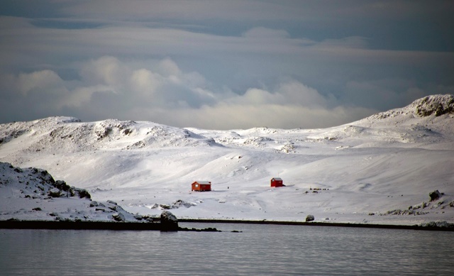 Un reptile carnivore vivait en Antarctique voici 150 millions d'années