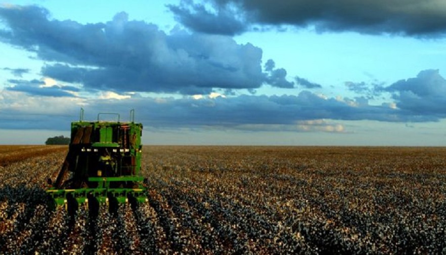 Pas d’impact négatif sur la campagne agricole en dépit du retard des pluies dans la région Casablanca-Settat