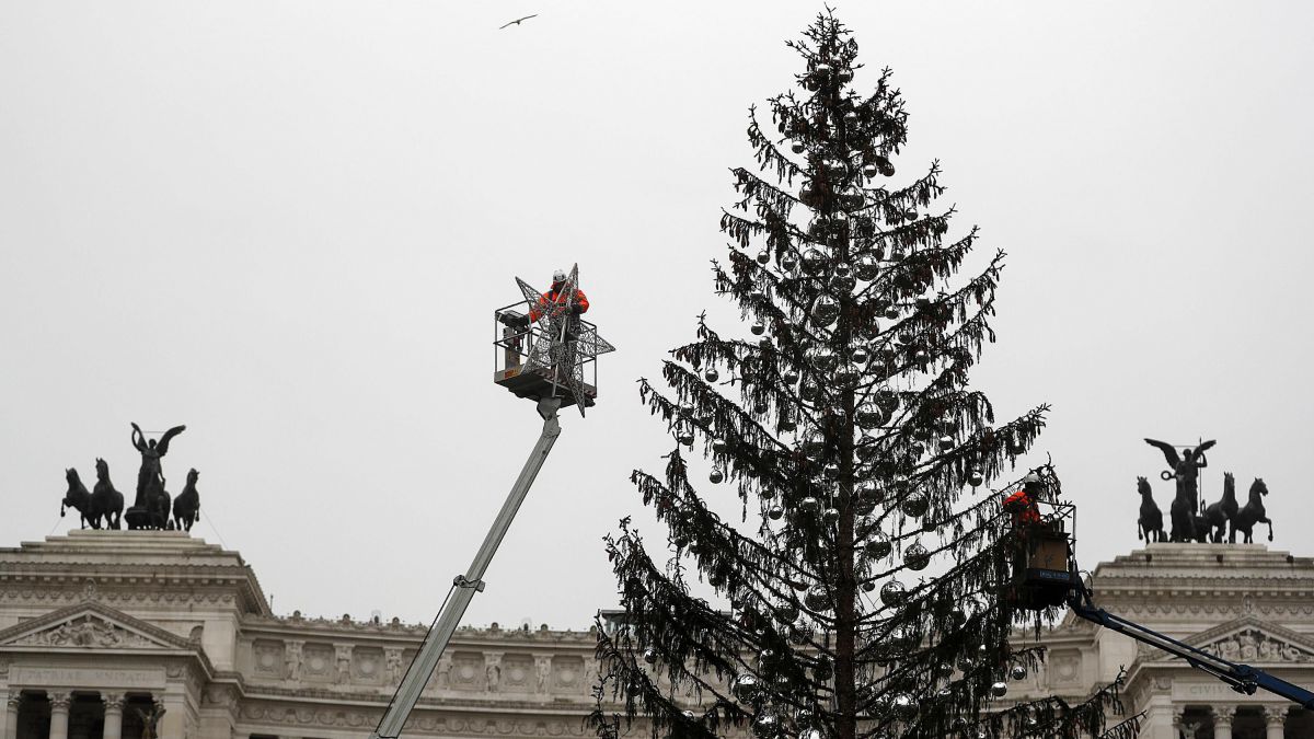 Insolite : Arbre de Noël déplumé