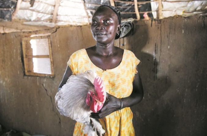 Au Sénégal, les femmes gagnent en autonomie grâce à l'agriculture