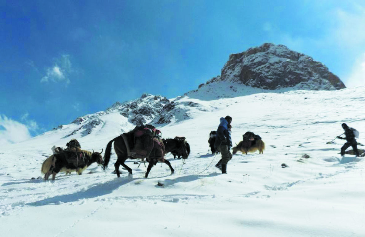 A l'ombre des pics himalayens, une vertigineuse route commerciale dédiée au troc