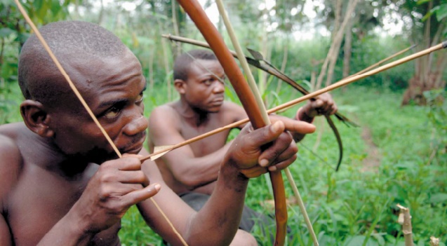 Un mécanisme pour sauver les forêts accusé de bafouer les droits des autochtones Un mécanisme pour sauver les forêts accusé de bafouer les droits des autochtones
