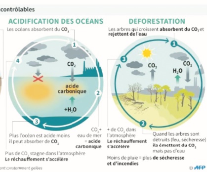 Même un réchauffement de 2°C aura une incidence importante