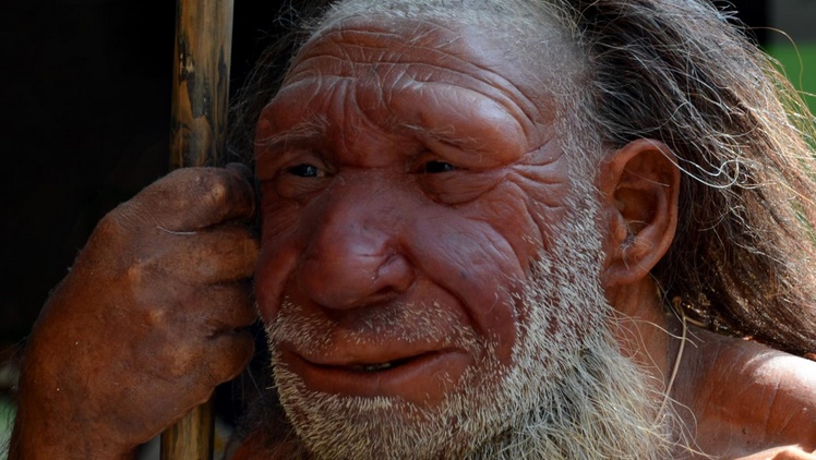 L'homme de Néandertal avait un gros nez pour mieux survivre au froid L'homme de Néandertal avait un gros nez pour mieux survivre au froid