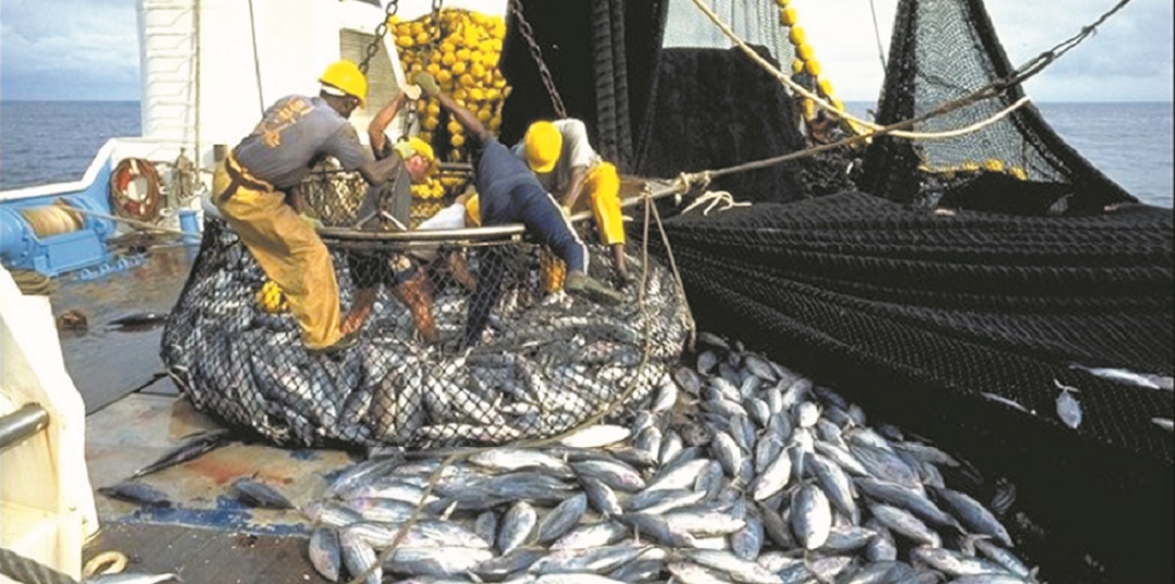 Le nouvel accord de pêche avec l’UE devrait partir sur de nouvelles bases