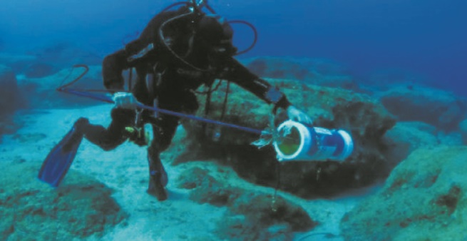 Chypre, en pointe contre l'invasion du poisson-lion en Méditerranée