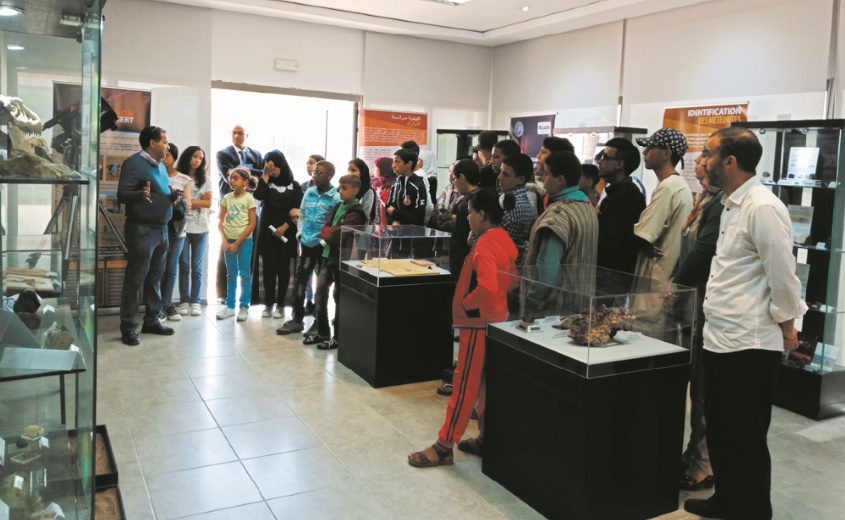 Des dinosaures au Musée universitaire de météorites