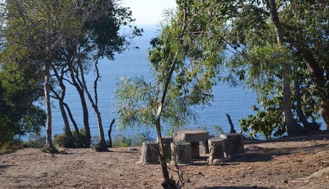 Lancement d'un programme de sensibilisation à la préservation des forêts urbaines de Tanger Lancement d'un programme de sensibilisation à la préservation des forêts urbaines de Tanger