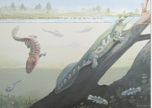 Des fossiles de tétrapodes remettent en cause la théorie des tropiques