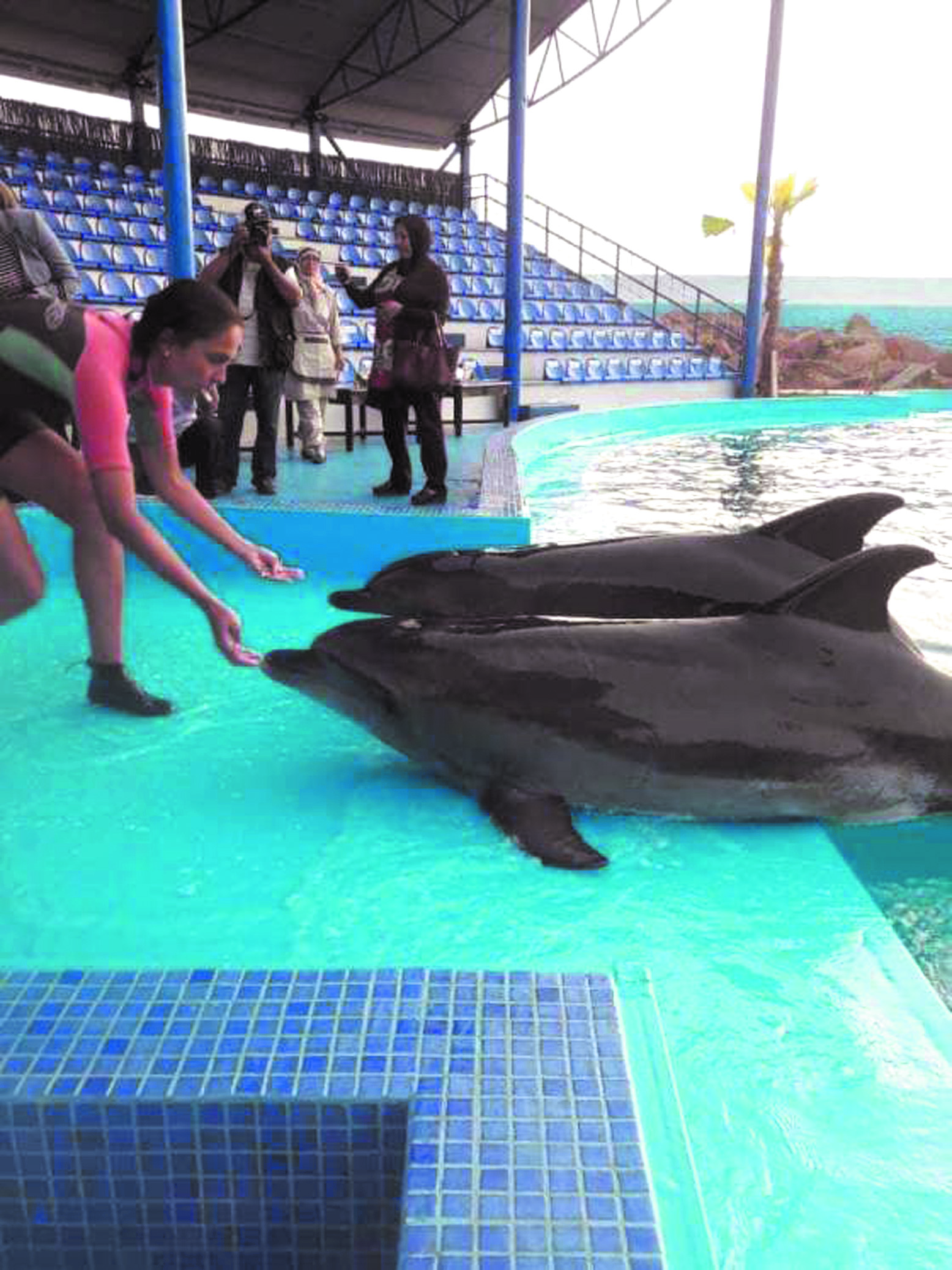 Agadir a son delphinarium
