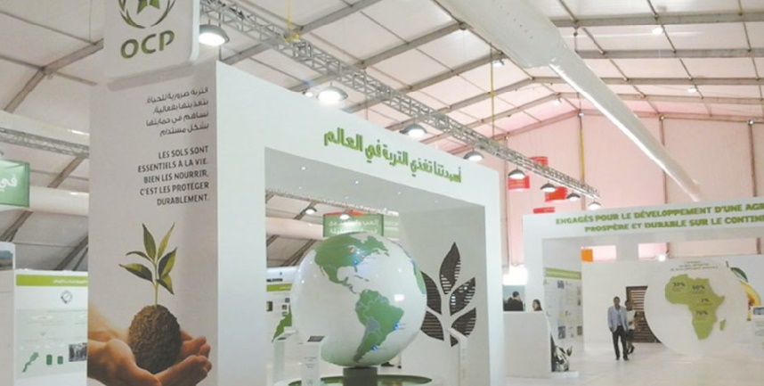 L’OCP en Afrique, un acteur incontournable au service de l’agriculture dans le continent
